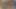 Siyah aygır ve abanoz fahişe sahip olan eğlence