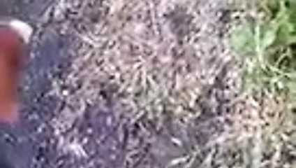 Magnitogorsk'tan Rus fahişe Yulia. açık