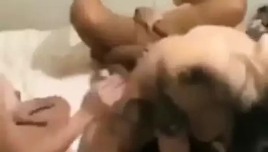 çılgın seks partisi