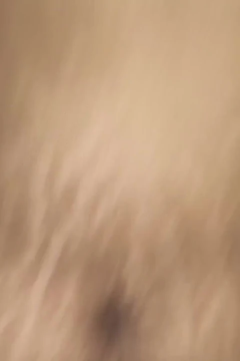 Hintli evli kadın seks yapıyor