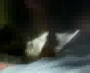 allenmore hastanesinde acil servis