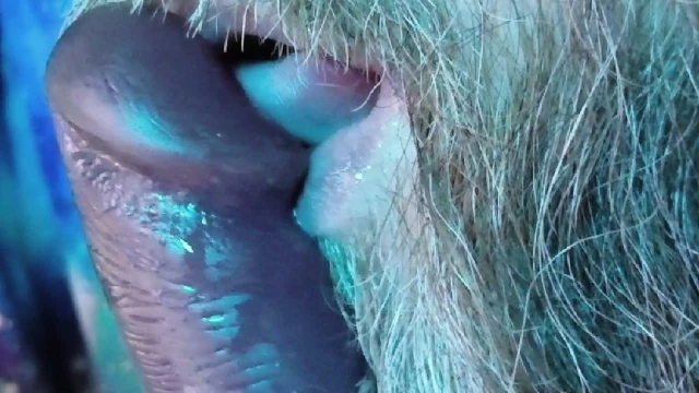 Daddy Learns To Suck Dick Part 2