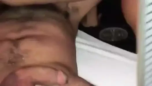 lluvia dorada chilena