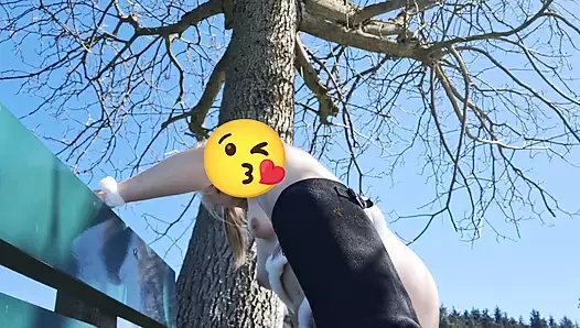 O tavşanın orada ne işi var?