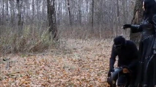 Karina gotika - insan eğitimi