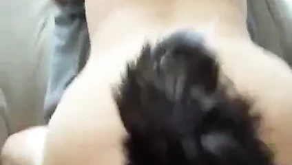 Arkadaşım ve ben tilki kuyruğu buttplug ile