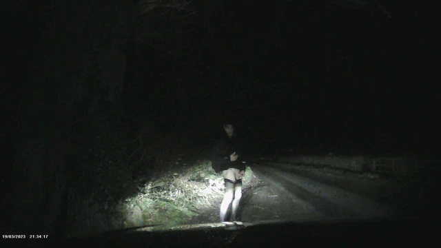 Bir sürüş için dışarı