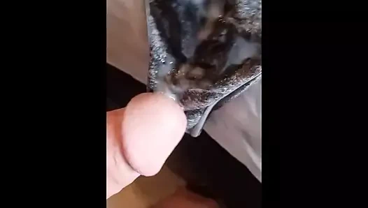 Dd sağladım üzerinde sadie'nin külot