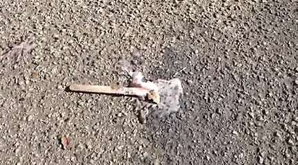 Beyaz kız siyah dondurma istiyor