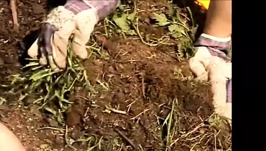 Yukarı ve aşağı zıplayan büyük doğal göğüsler #61