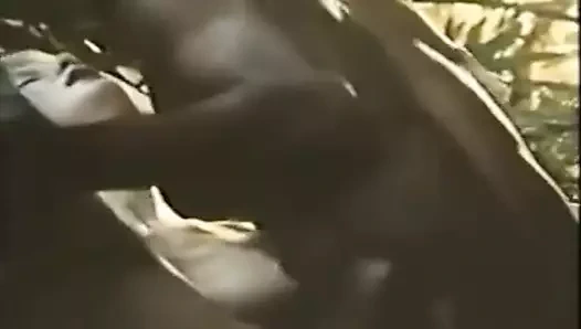 Hata= sorgu süresi erişim sınırı