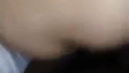Sırt fack