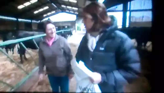 Rab aşağı ceket 2