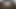 Azgın sekreter Wiork'un ardından sert fışkırtıyor, nefis!