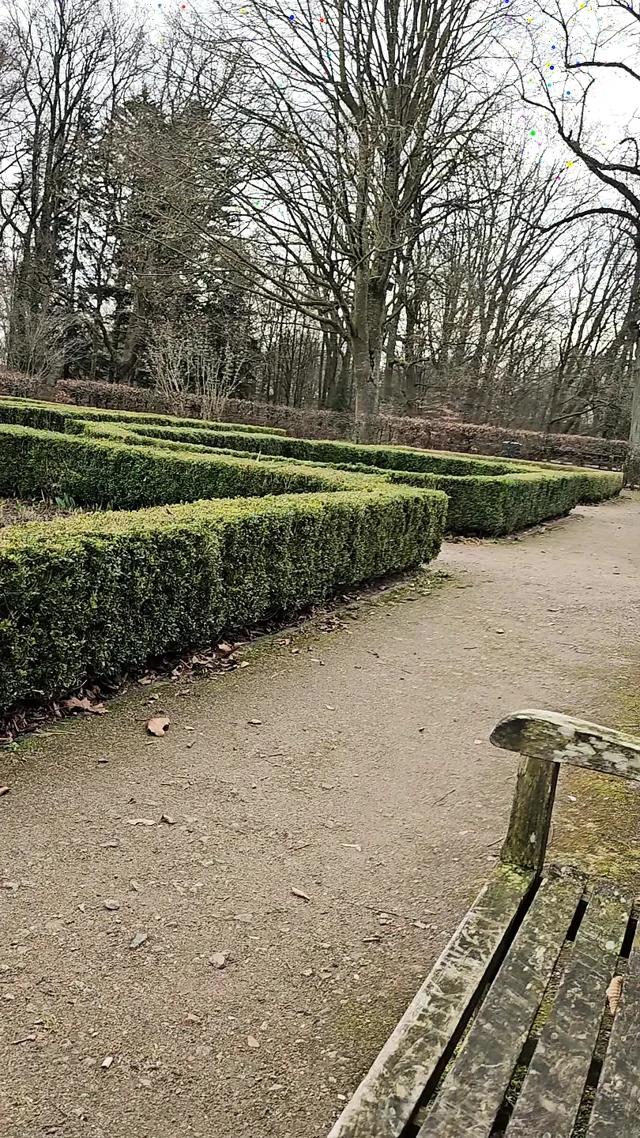 and eager to show off in the park