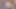 Üvey kız kardeşle ateşli domaltmalı seks