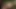 Karantina, hücre çıkarma ve hapishane seksi - ikinci bölüm