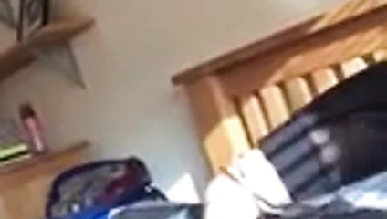 Hızlı arsız bir tokat.