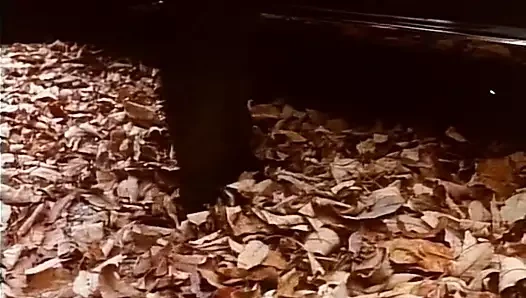 Çıplak kokular (1985, us, 35mm film, taija rae, dvd rip)