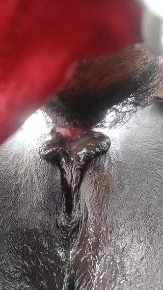 Droskie kedi ıslak tutar