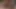 Gia paloma pov oral seks