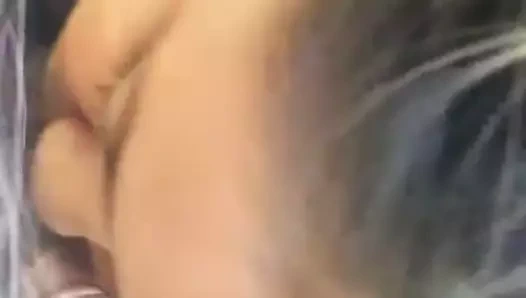 Bj içinde the çalılar