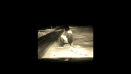 zum ersten mal Outdoor