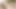 Teenpies - büyük götlü sarışın genç, üvey kardeşinin ona Creampie yapmasına izin verir
