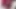 Izone yuri cumtribute