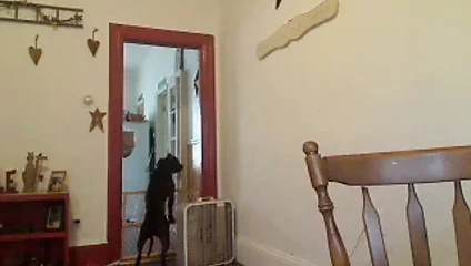 Burada şikayet yok, bize güzel bir manzara sunuyor.