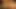 Ayı eğlencesi 2