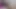 Pov – adam kız arkadaşının amına dokunuyor, utangaç kız erkek arkadaşının sikine dokunuyor, lanet olası hassas kedi. yakın çekim kedi 1