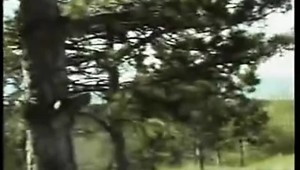 Balkan bağlantısı - dolu