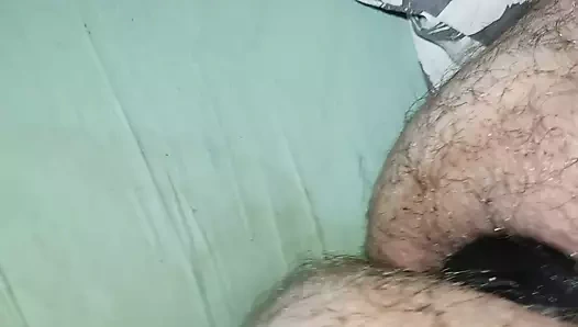Anal plug ile şişman kıllı kedi için büyük yapay penis