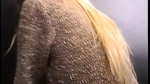 Büyük memeli sarışın orta yaşlı seksi kadın oyuncu seçmelerinde kovboy kızda yarak emiyor ve biniyor