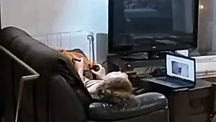 Snr o Mastürbasyon ile yapay penis