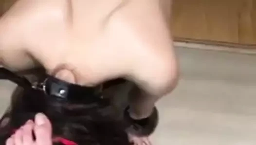 Treinando a cadelinha