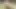 Genç sarışın açık havada amına kalın bir yarak almak için bacaklarını geniş açıyor