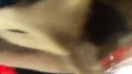 Noel külot alışverişi