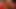 BBC tarafından sevişilen seksi siyah bir orospu