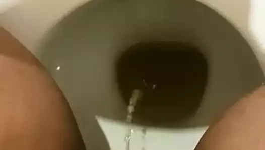 Lezzetli Hint kıllı kedi işemek