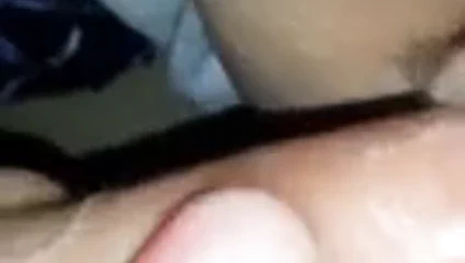 beni kahrolası benim hanımları KEDİ