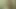 Hızlı bir duş olması gerekiyordu, ama