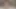 Yapay penis kahrolası benim kedi ve göt
