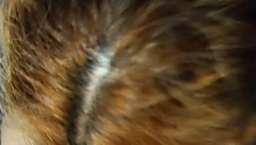 A gatas primea parte