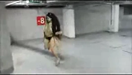 dans dansı