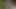 Olgun sarışın damlayan grup sekste genişliyor