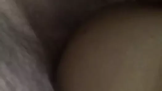 Inculata