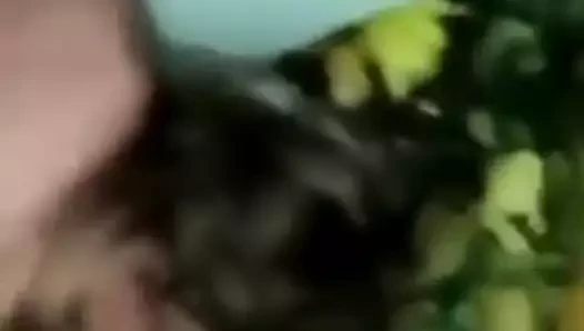 İsveçli sürtük nora