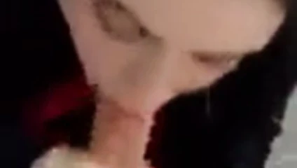 6pp
